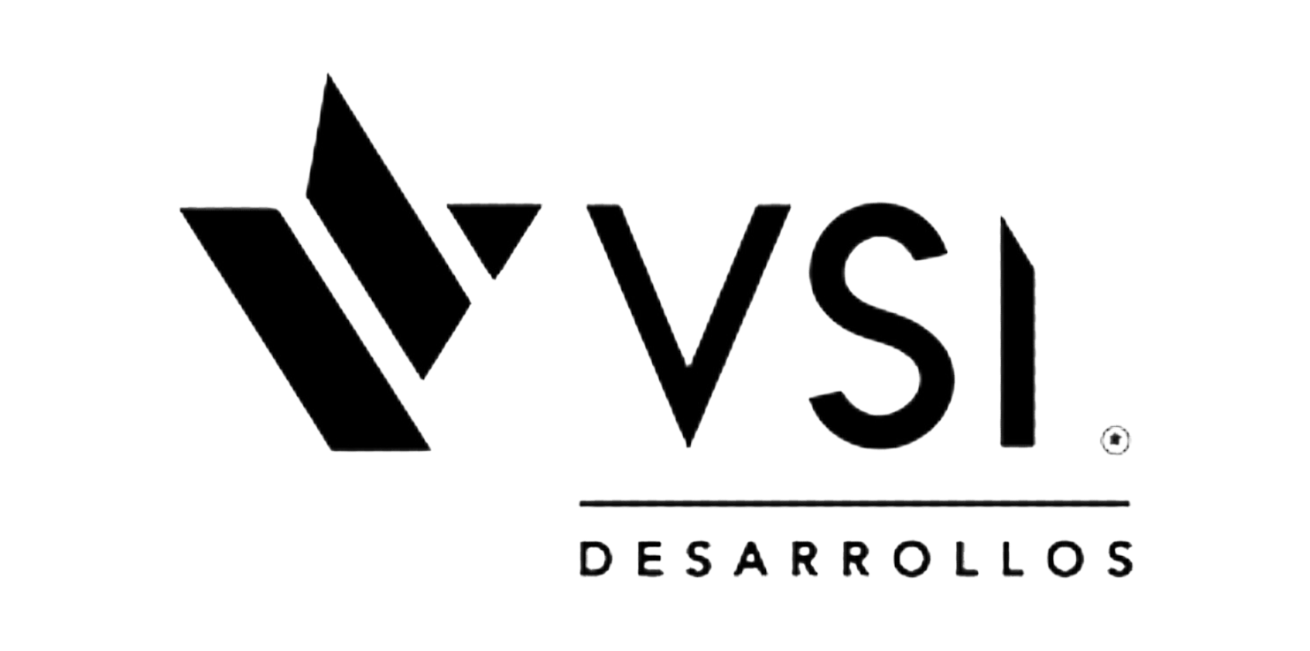 VSI Desarrollos-Photoroom